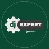 Django Expert