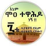 ሞዐ ተዋሕዶ / Mo'aa Tawaahido