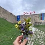 Danışır Bakı💙❤️💚