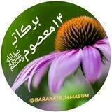 ☘﷽برڪاتـِ14معصوم﷽☘