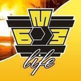 БМЗ_life