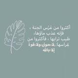 لـ راحة ‏﮼جوفك🌿🤍