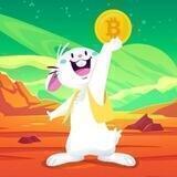 Shilling Bunny 🐰