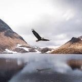 An Amazing World