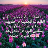 🔮محاضرات S4