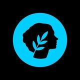 🌿 Metis СНГ