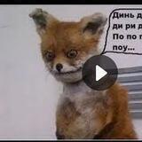 Лисья Нора