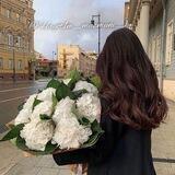 🌸🌙 𝓖𝓲𝓻𝓵𝓼 𝓟𝓻𝓸𝓯𝓲𝓵𝓮 🧸🌸
