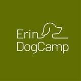 Дрессировка и передержка собак Москва и МО Erin DogCamp