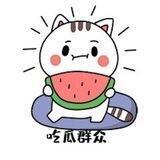 吃瓜少先队员