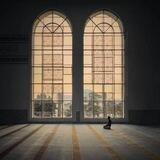 نَبض .