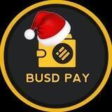 BUSD PAY/ SAFU/KYC/AUDITED