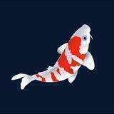 KoifishNft buy group