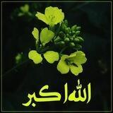 الله أڪبر