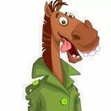 ANIMAL COMEDY