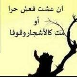 شام الكرامة وشامة الشام