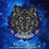 PARTNERSHIP GALAXTOR