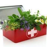 Botiquín de Urgencias 2. Canal dedicado a compartir conocimientos sobre plantas medicinales y remedios naturales