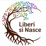 Liberisinasce
