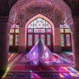 نرجسية قلَم~
