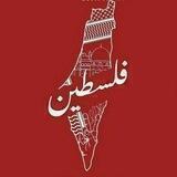 " إيكادولي "