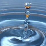 PLATA COLOIDAL. LSHU