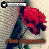 ASAR O'RGANAMIZ 📚📙📘📗