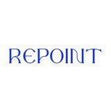 repoint