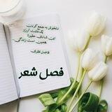 🧚فصل شعر🧚