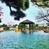 倩碧pc 《盘口直营》