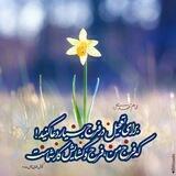 گروه ختم صلوات هدیه به امام زمان