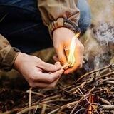 🔥🌲 Survival – Überleben in der Krise