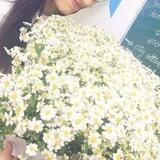 Inti's English hacks 🌷