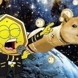 r/dogecoin
