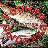 Gornaya_rybalka🎣🐟