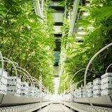 CannerFlow