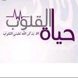 قناة الشيخ صلاح صبري الدعوية