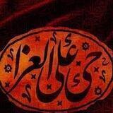 المكتبة الشيعيةpdf