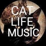 Cat_life_music_сhanel🎧