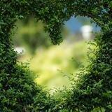 🌿 Garten Eden 🌿