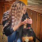 Sochi_animals😽🐶