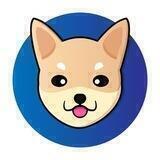 $HOKK | Hokkaido Inu