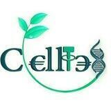 Celltexir