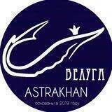 Белуга
