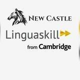 New Castle B2
