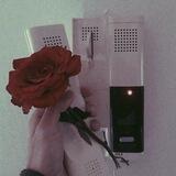 شوَية حَكي♡.