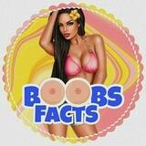 [ Boob Fact 🔞 ]