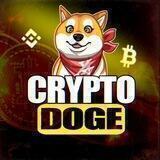Crypto Doge chat