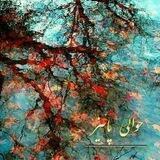 🍁 حوالى پاييز 🍁