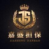 嘉盛担保公群列表